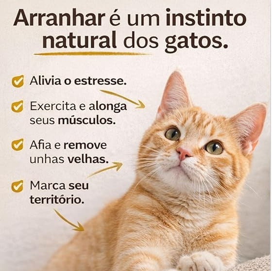 Gato laranja ao lado de texto explicando que arranhar é um instinto natural dos gatos, ajudando a aliviar o estresse, alongar músculos, afiar unhas e marcar território.