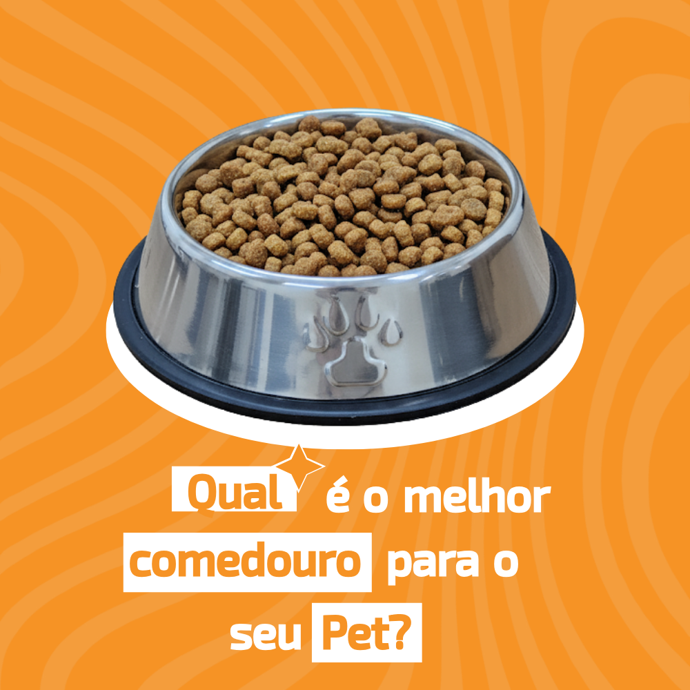 Plástico, alumínio ou inox: qual comedouro é mais seguro para seu pet