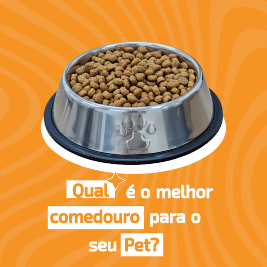 Plástico, alumínio ou inox: qual comedouro é mais seguro para seu pet