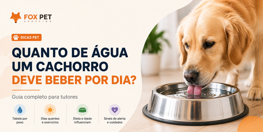 Cachorro bebendo água em comedouro de inox dentro de casa