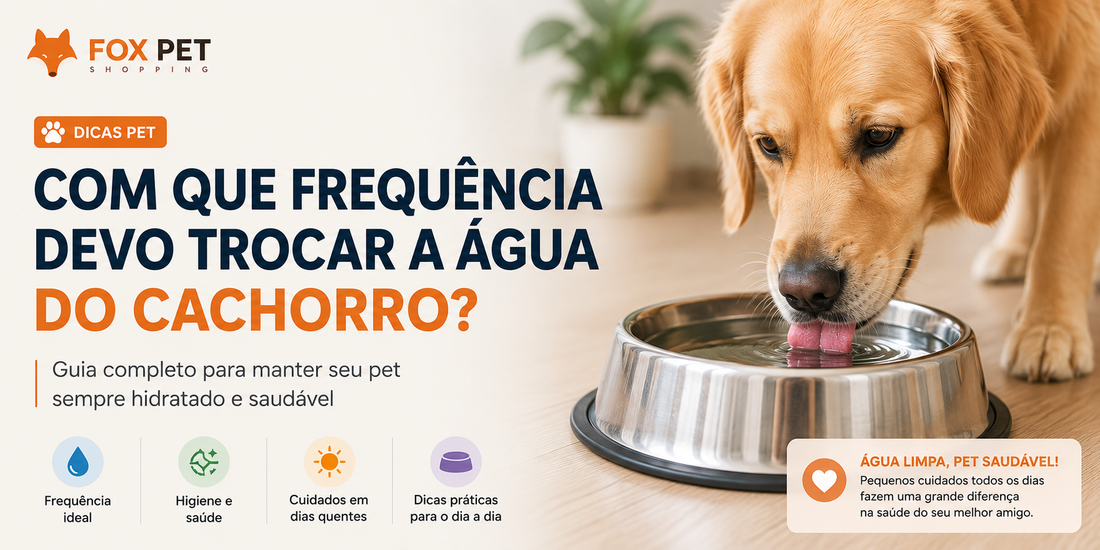 Cachorro ao lado de recipiente de inox com água fresca