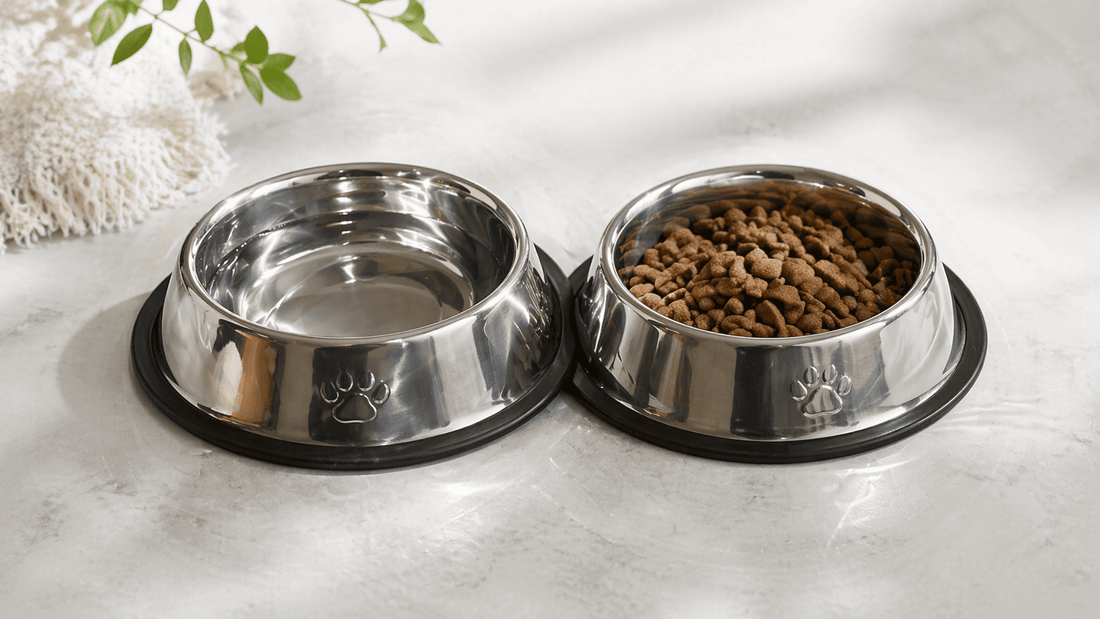 Comedouros de inox para cães e gatos com água e ração, mostrando como escolher o tamanho ideal do comedouro para o pet.