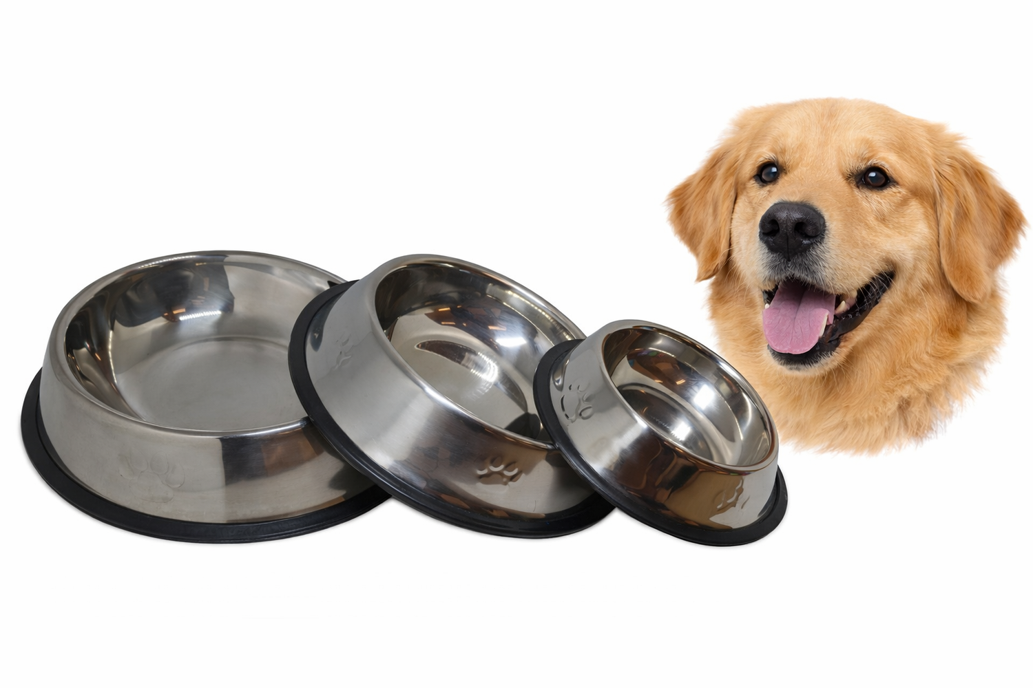 Comedouro de aço inox para cães e gatos