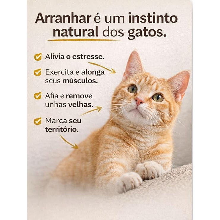 Gato laranja ao lado de texto explicando que arranhar é um instinto natural dos gatos, ajudando a aliviar o estresse, alongar músculos, afiar unhas e marcar território.
