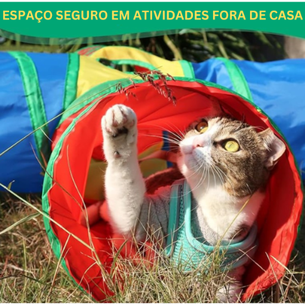 Túnel colorido para gatos com pet brincando fora de casa