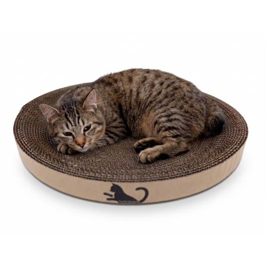 Gato deitado em arranhador redondo de papelão ondulado para descanso e desgaste das unhas