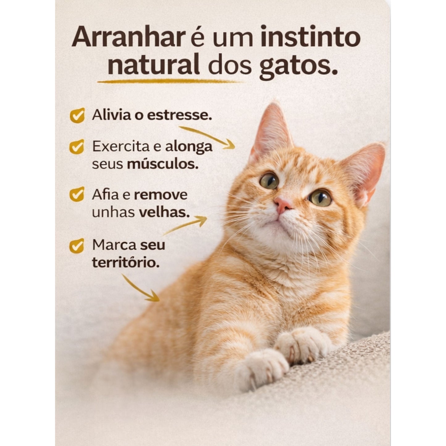 Arranhador Oval Berço Para Gatos Grande ou Médio Fox Pet Shopping